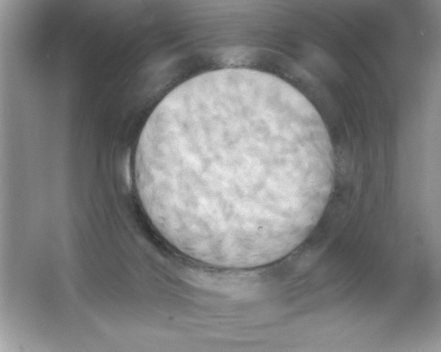 X0000063510028200602101937