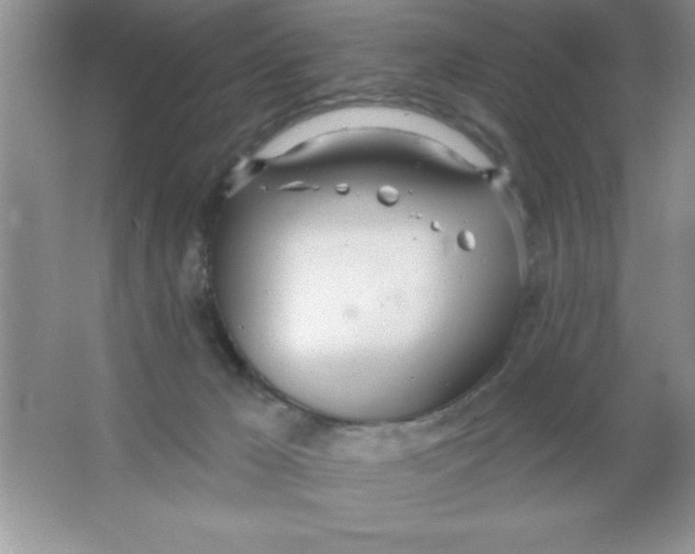 X0000063510029200602101937