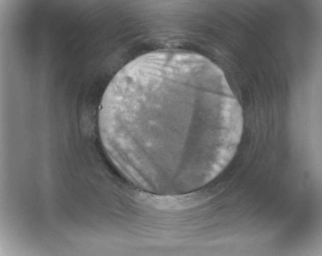 X0000063510030200602101937