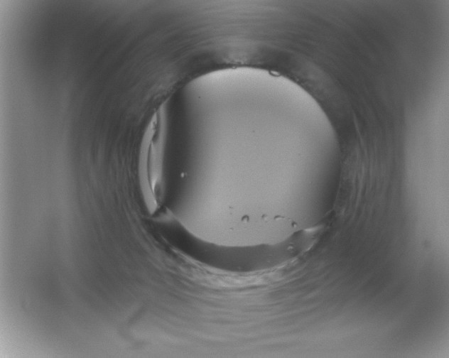 X0000063510031200602101937