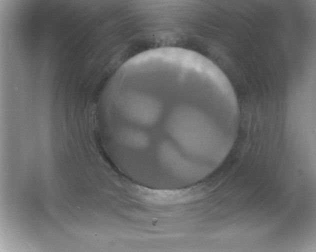 X0000063510034200602101937