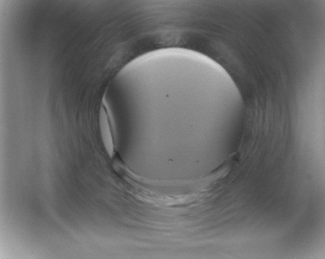 X0000063510035200602101937