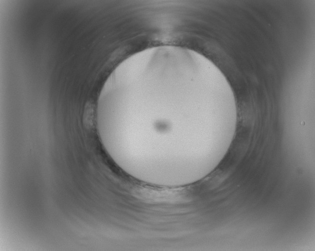 X0000063510036200602101937