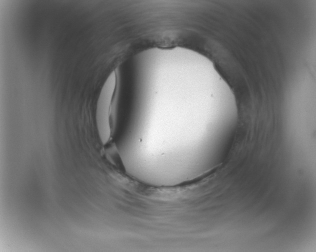 X0000063510037200602101937