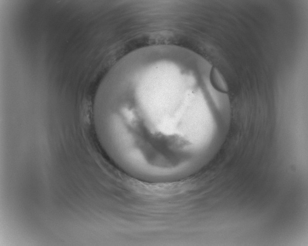 X0000063510038200602101937