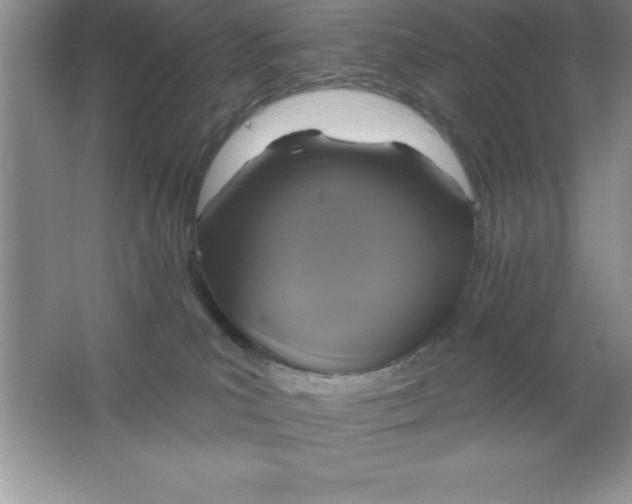 X0000063510039200602101937