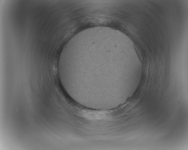 X0000063510040200602101937