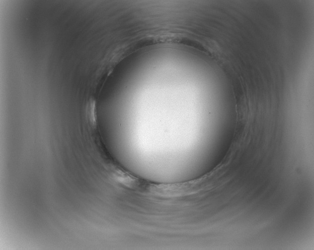 X0000063510041200602101937