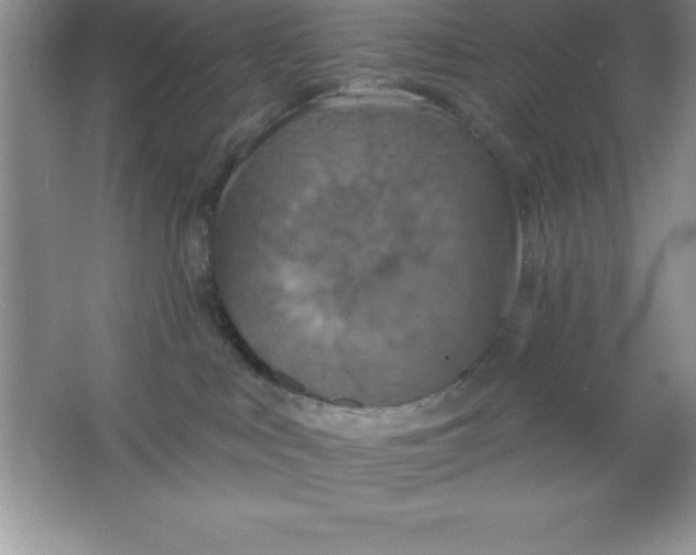 X0000063510043200602101937