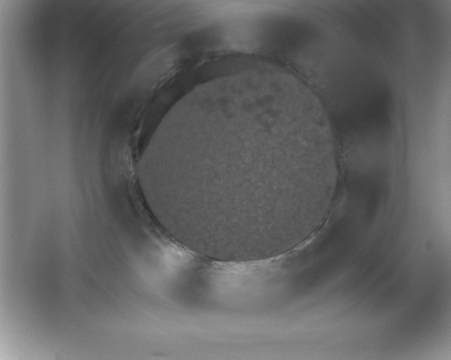 X0000063510045200602101937