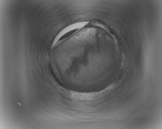 X0000063510048200602101937