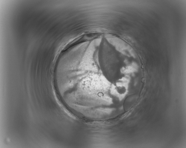 X0000063510049200602101936