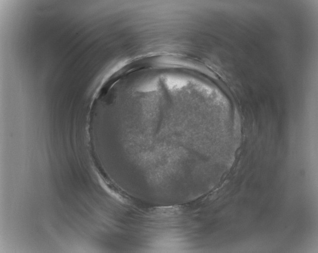 X0000063510050200602101936