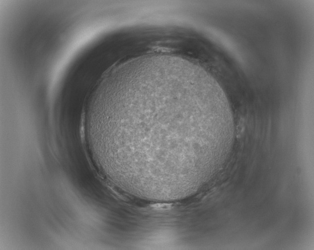 X0000063510052200602101936