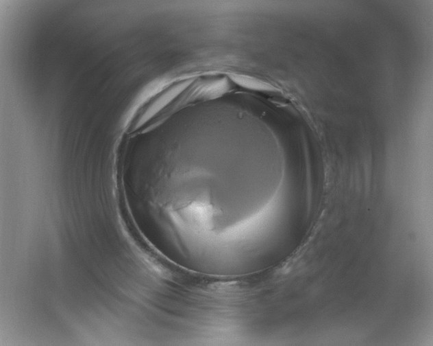 X0000063510054200602101936