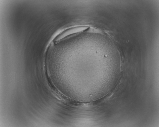 X0000063510056200602101936