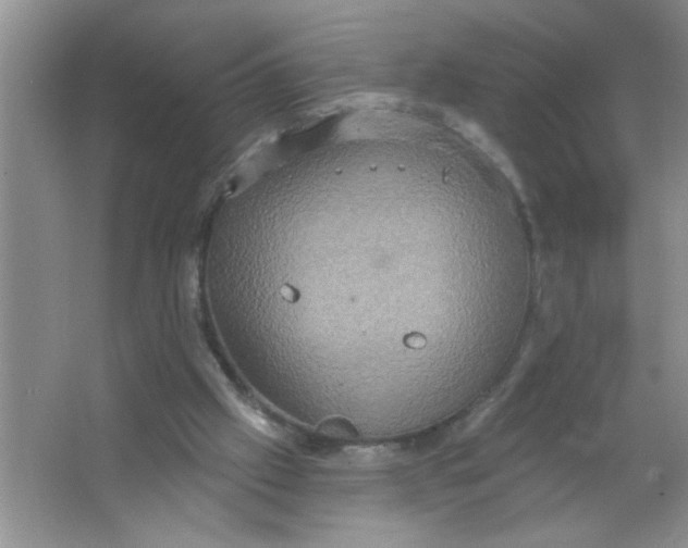 X0000063510057200602101936