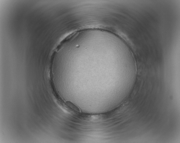 X0000063510060200602101936