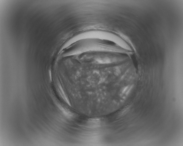 X0000063510061200602101936