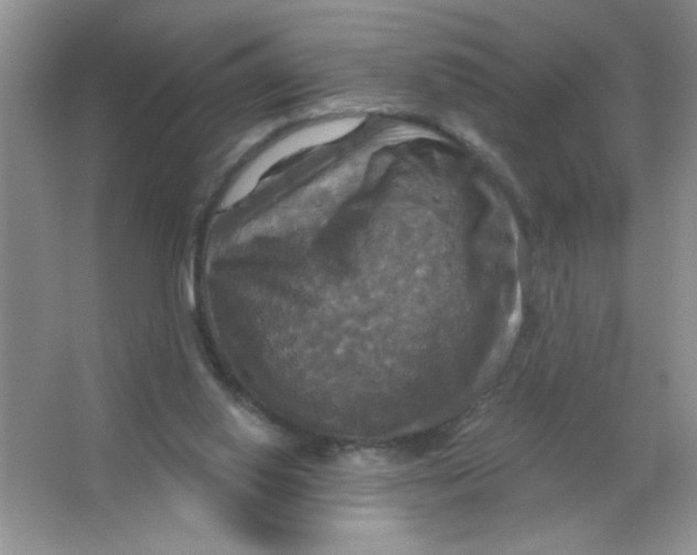 X0000063510062200602101936