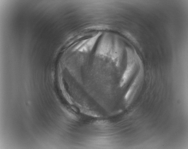 X0000063510063200602101936