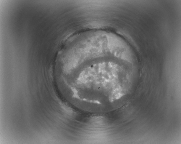 X0000063510066200602101936