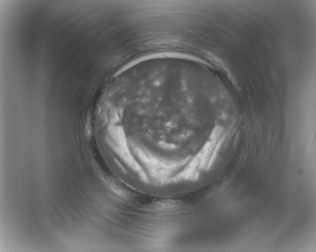 X0000063510069200602101936