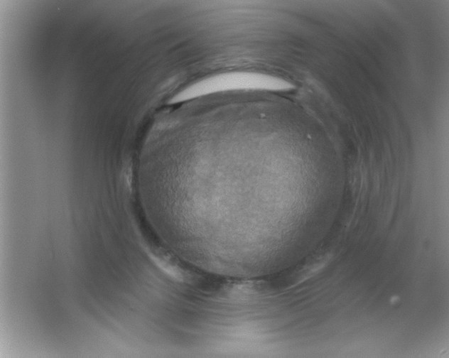 X0000063510072200602101936