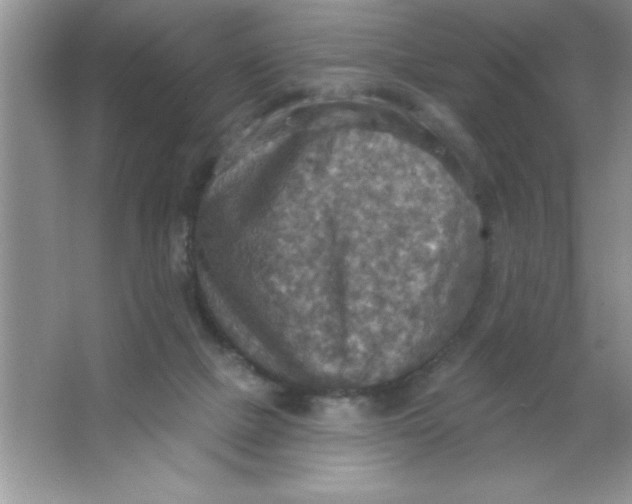 X0000063510073200602101936