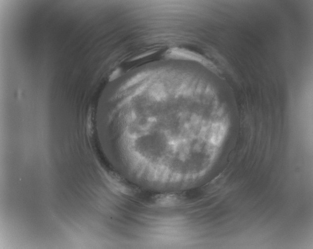 X0000063510074200602101936