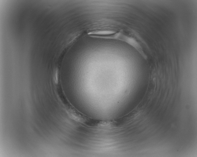 X0000063510076200602101936