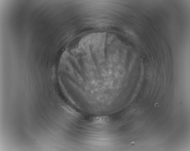 X0000063510077200602101936