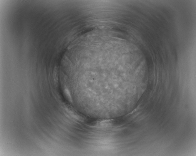 X0000063510078200602101936