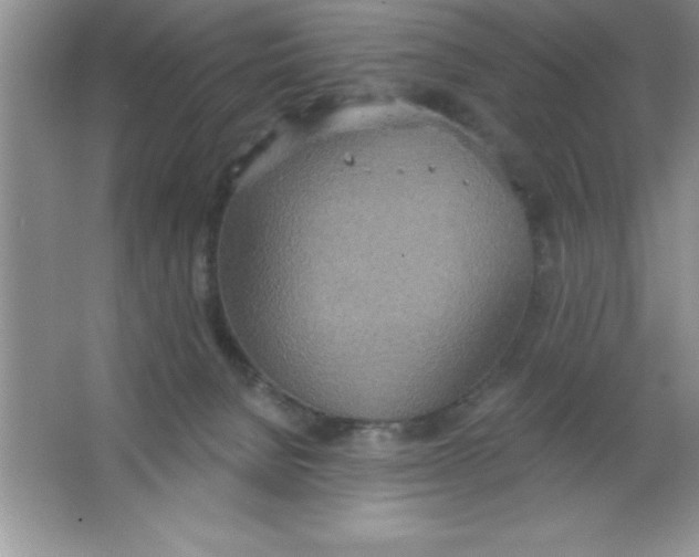 X0000063510080200602101936