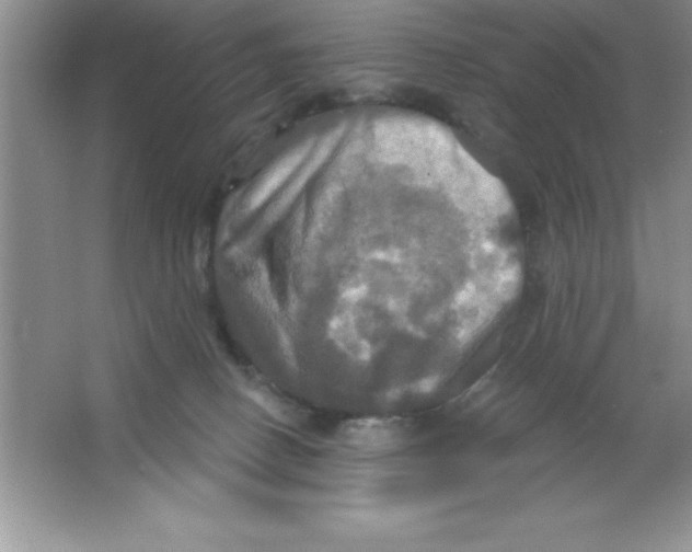 X0000063510082200602101936