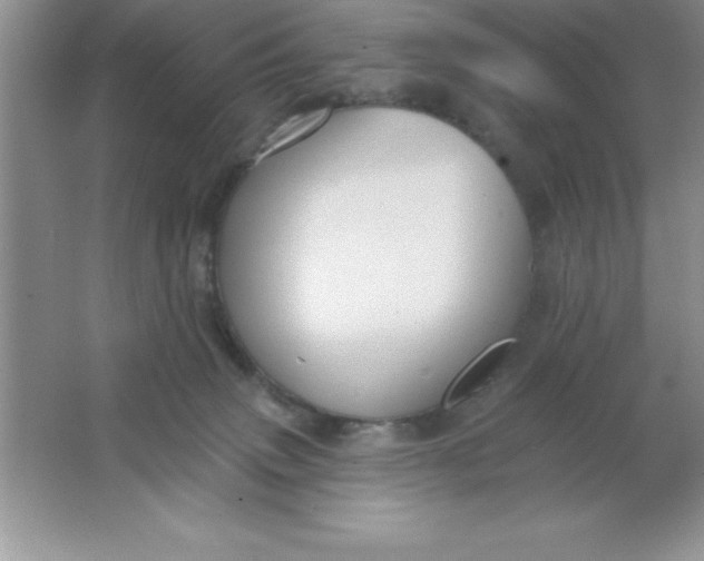 X0000063510083200602101936