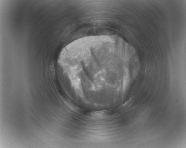 X0000063510086200602101936