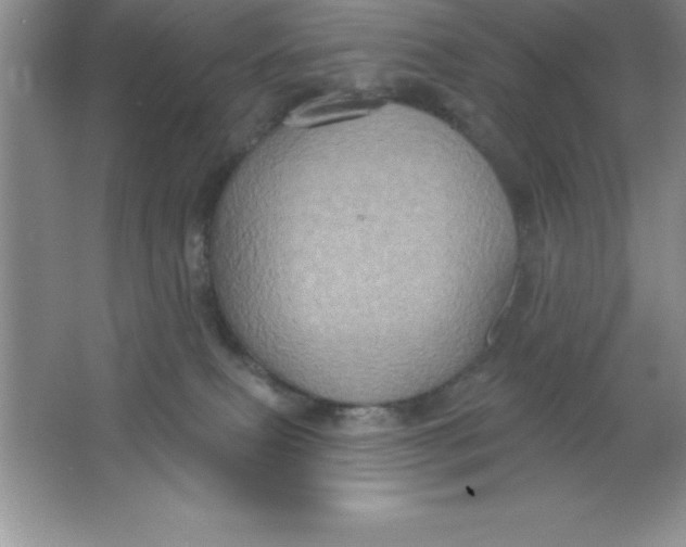 X0000063510087200602101936