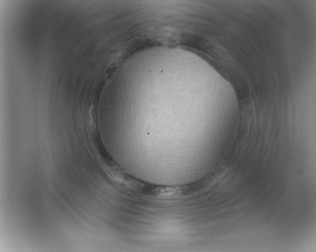 X0000063510088200602101936