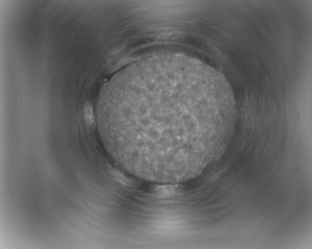 X0000063510089200602101937