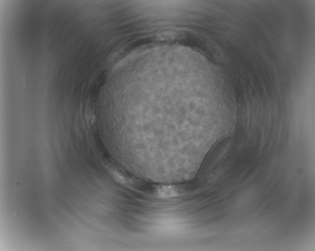 X0000063510091200602101937