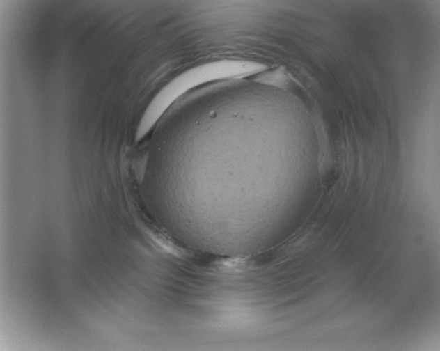 X0000063510092200602101937