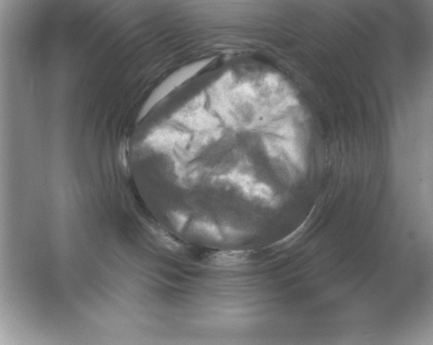 X0000063510094200602101937