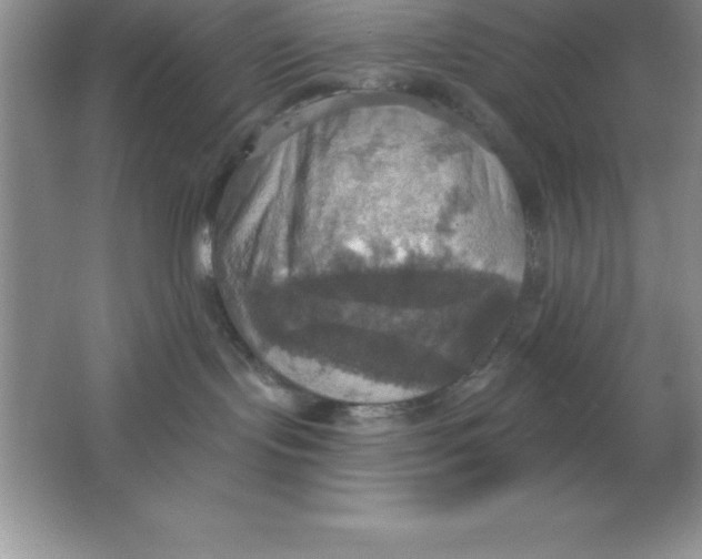 X0000063510095200602101937