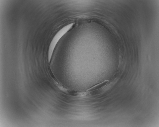 X0000063510096200602101937