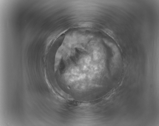 X0000063510097200602101936