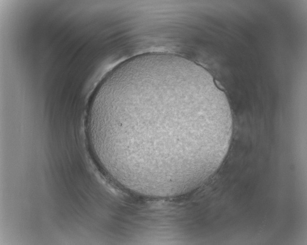 X0000063510098200602101936