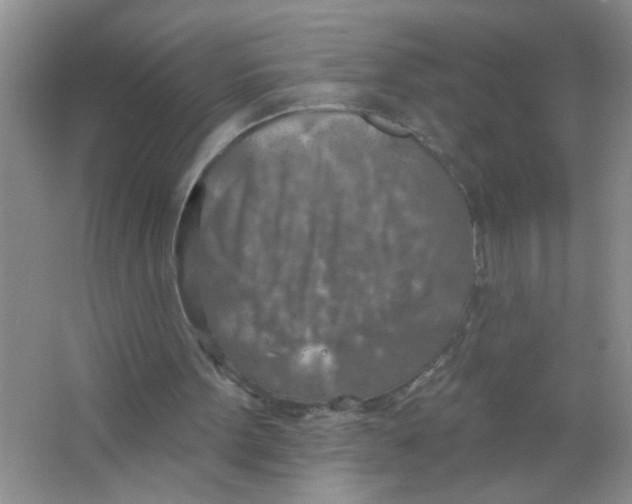 X0000063510099200602101936