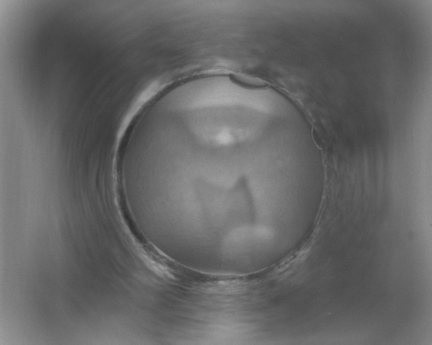 X0000063510102200602101936