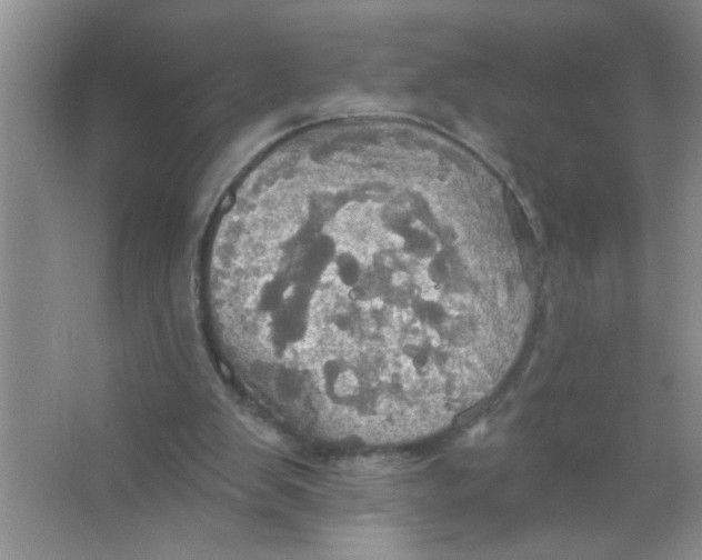 X0000063510103200602101936